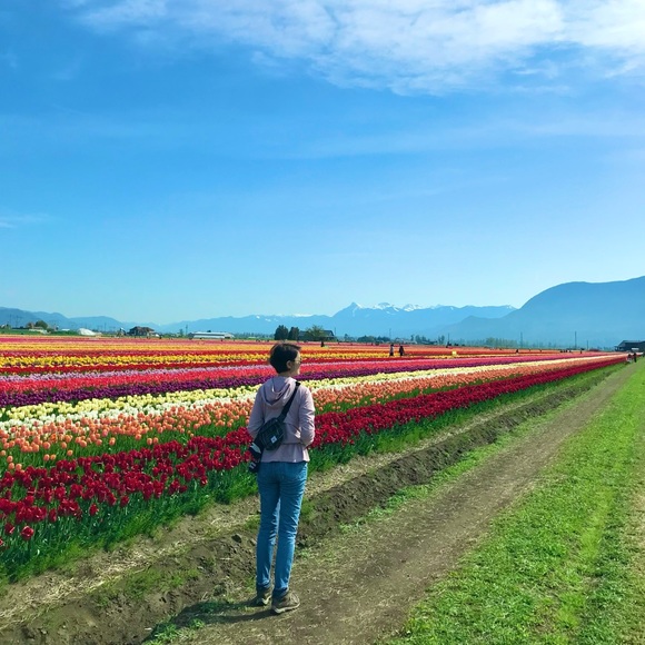 Meet your Posher, Enny - Picture 1 of 1